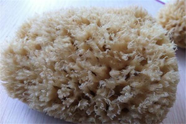 海藻棉是什么布料以海藻炭为成分的人造纤维高耐热性
